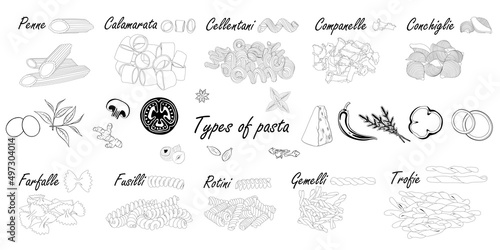 Types of pasta. Short pasta difference, illustration example with ingredients. Black and white. photo