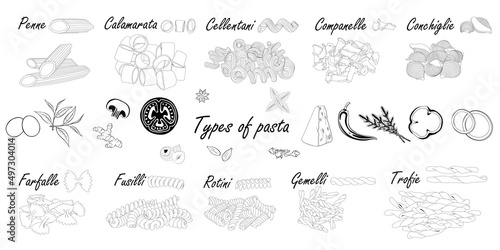 Wallpaper Mural Types of pasta. Short pasta difference, illustration example with ingredients. Black and white. Torontodigital.ca