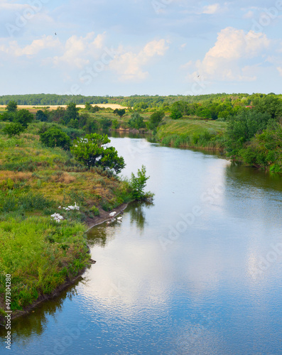 Landscape river white goose...