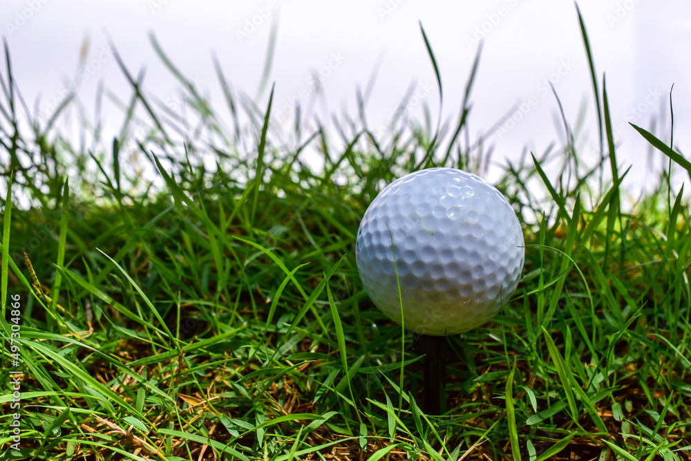 golf ball on green lawn green white background golf ball on green lawn green white background