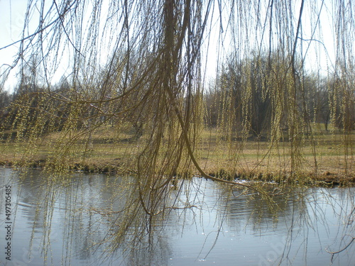 wiosna nad kanałem w parku