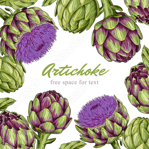 Background with colorful hand drawn artichoke, artichoke flowers and leaves. Free space for text. Vector illustration isolated on white background.