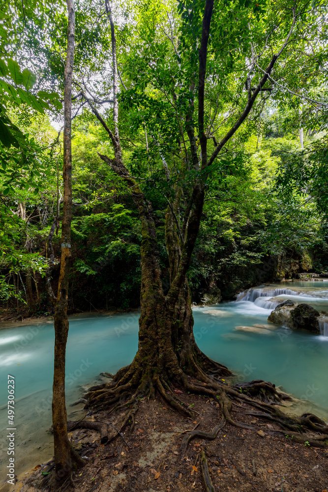 Fototapeta premium Erawan Waterfall,beautiful waterfall deep forest in Thailand