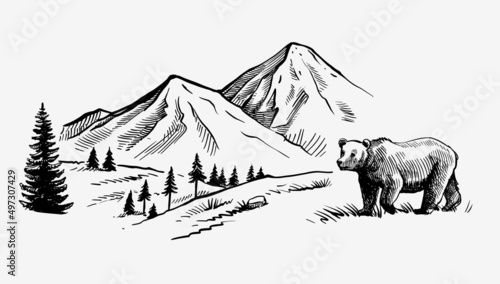 Wild natural landscape with bear.