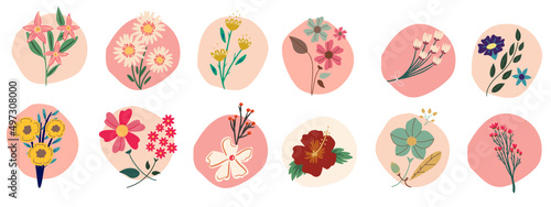 Set of boho flowers with circle background vector graphic