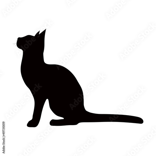 Black silhouette of a cat on a white background.