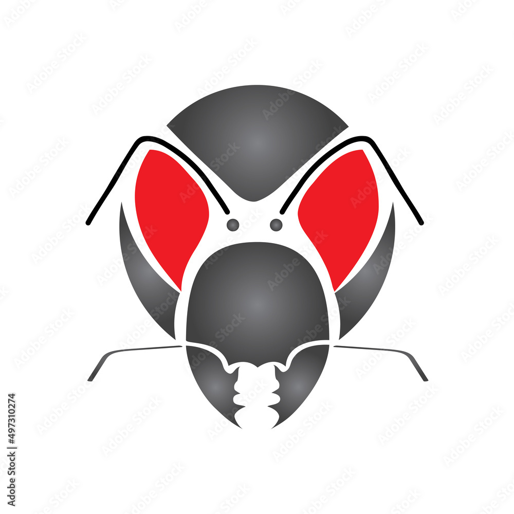 Obraz premium Ant vector illustration design