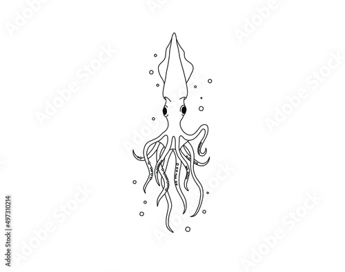 Vector isolated cute cartoon squid with long tentacles colorless black and white contour line doodle drawing