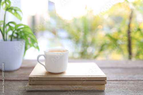 Tea cup and brown kraft notebooks and Window Monstera obliqua leaf plant