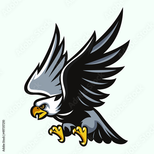 American eagle in flight descends down to the prey, menacingly spreading its wings