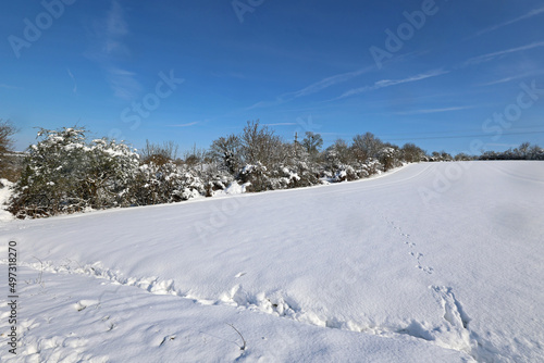 Winter landscape with freshly fallen snow in the morning