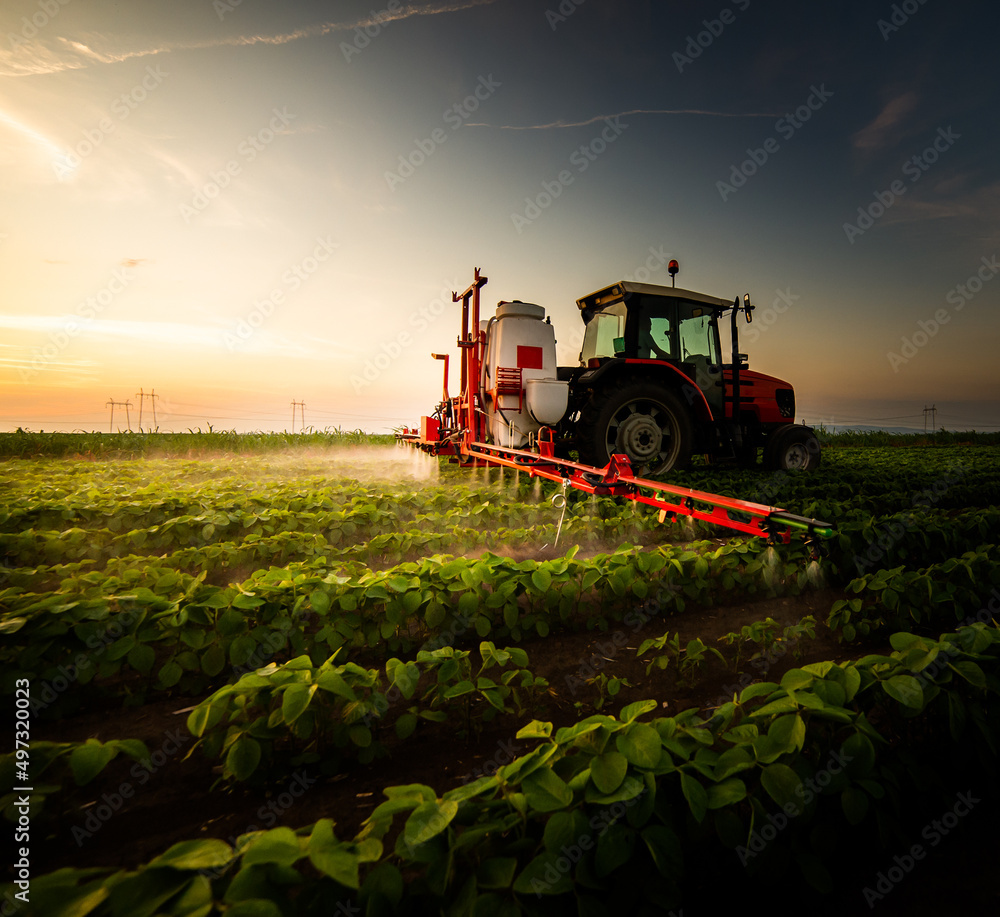 Obraz premium Tractor spraying soybean field at spring