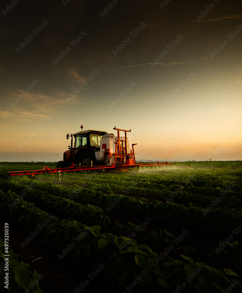 Fototapeta premium Tractor spraying soybean field at spring