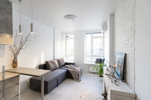 Interior of the small living equipped kitchen in studio apartments in minimalistic style with light color