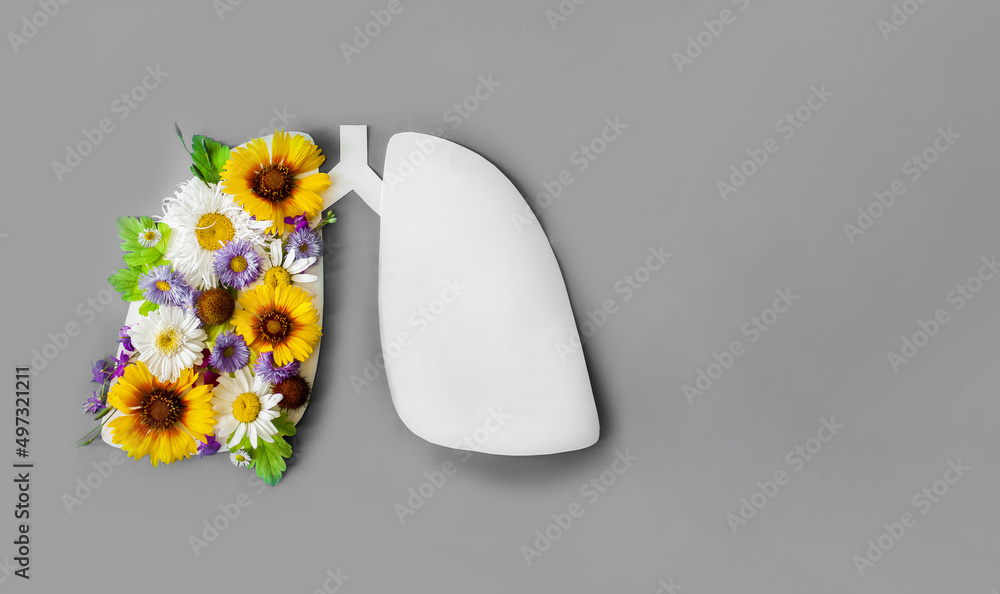 lungs with flowers and leaves on a grey background. world tuberculosis
