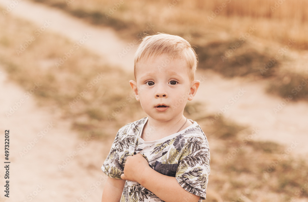 little boy play and walk in nature in the summer. Happy childhood. Positive emotions