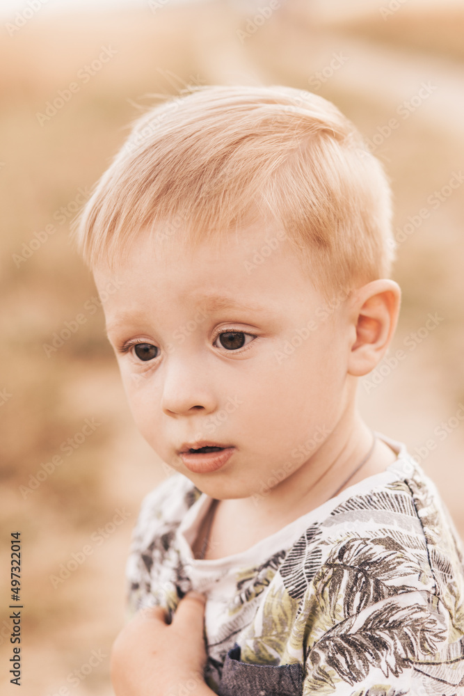 little boy play and walk in nature in the summer. Happy childhood. Positive emotions little boy play and walk in nature in the summer. Happy childhood. Positive emotions