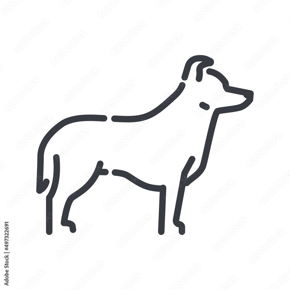 Vector dog line icon isolated on transparent background.