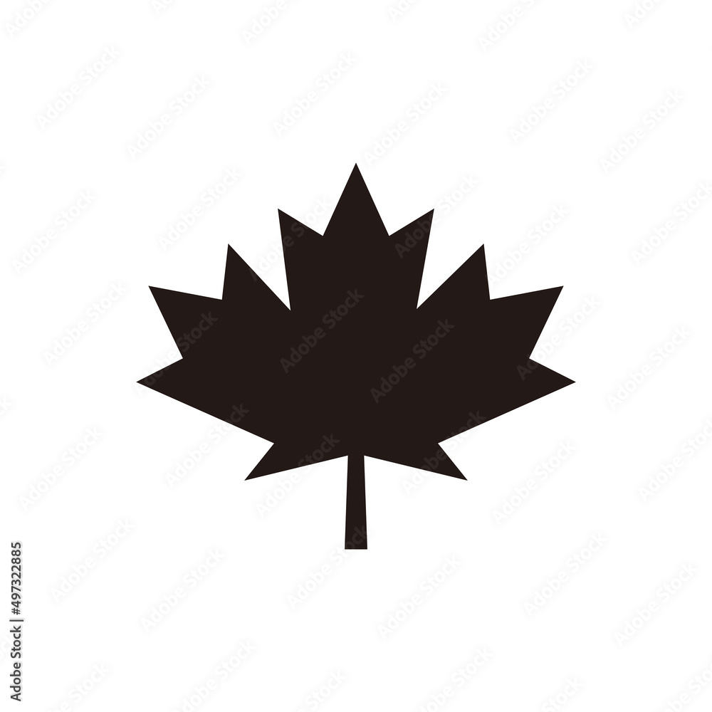 Maple leaf vector icon on white background Maple leaf vector icon on white background