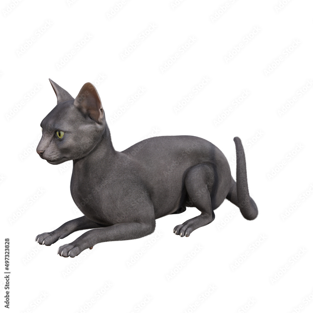 Sphynx cat isolated on white background. 3d rendering-illustration. Sphynx cat isolated on white background. 3d rendering-illustration.