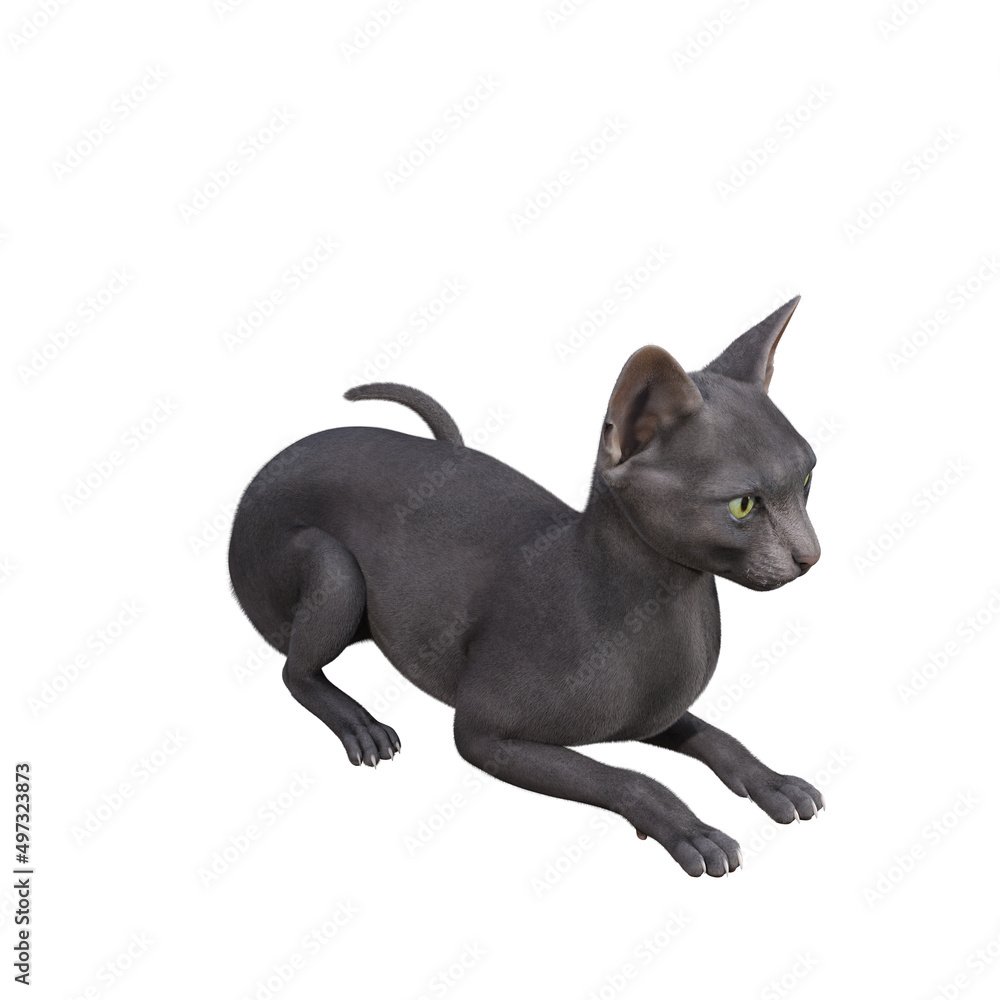 Fototapeta premium Sphynx cat isolated on white background. 3d rendering-illustration.