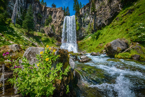 waterfall in the mountains near Bend, Oregon photo