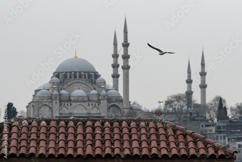 Süleymaniye mosque