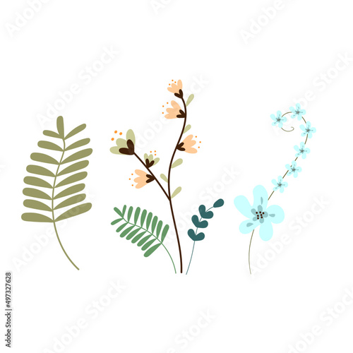 Flower Elements, Plant Leaves