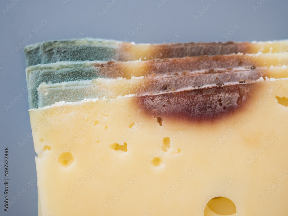 Expired moldy hard cheese purchased at the supermarket. Wastage of