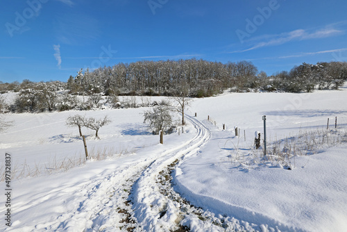 Winter landscape with freshly fallen snow in the morning