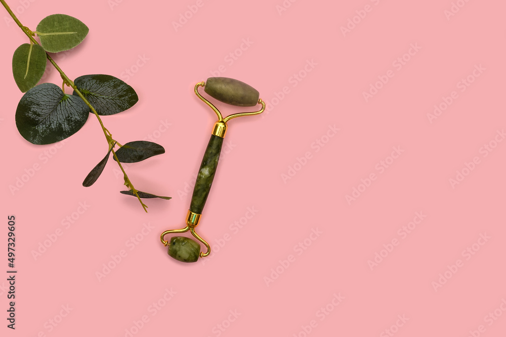 Green jade roller and eucalyptus branch on a pink background. Green jade roller and eucalyptus branch on a pink background.