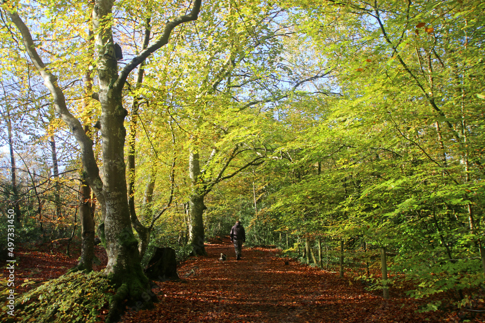 Decoy country park, Devon, in Autumn Decoy country park, Devon, in Autumn