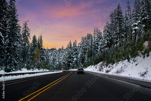 White Snow road trees drive, Road to wintry sunset,