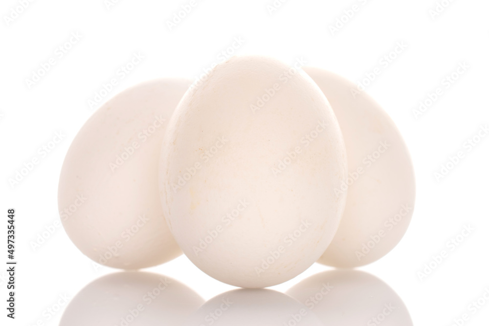 Three chicken eggs, macro, isolated on a white background. Three chicken eggs, macro, isolated on a white background.