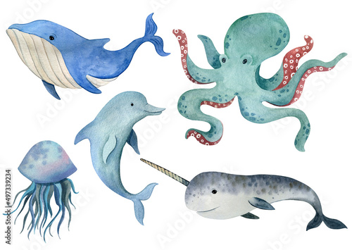 Watercolor illustration with sea animals