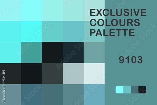 Exclusive Colours Palette 9103 photo