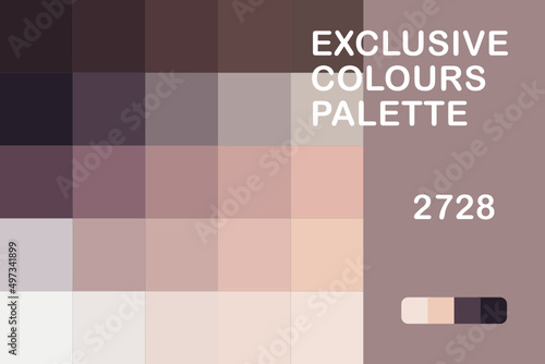 Exclusive Colours Palette 2728 photo