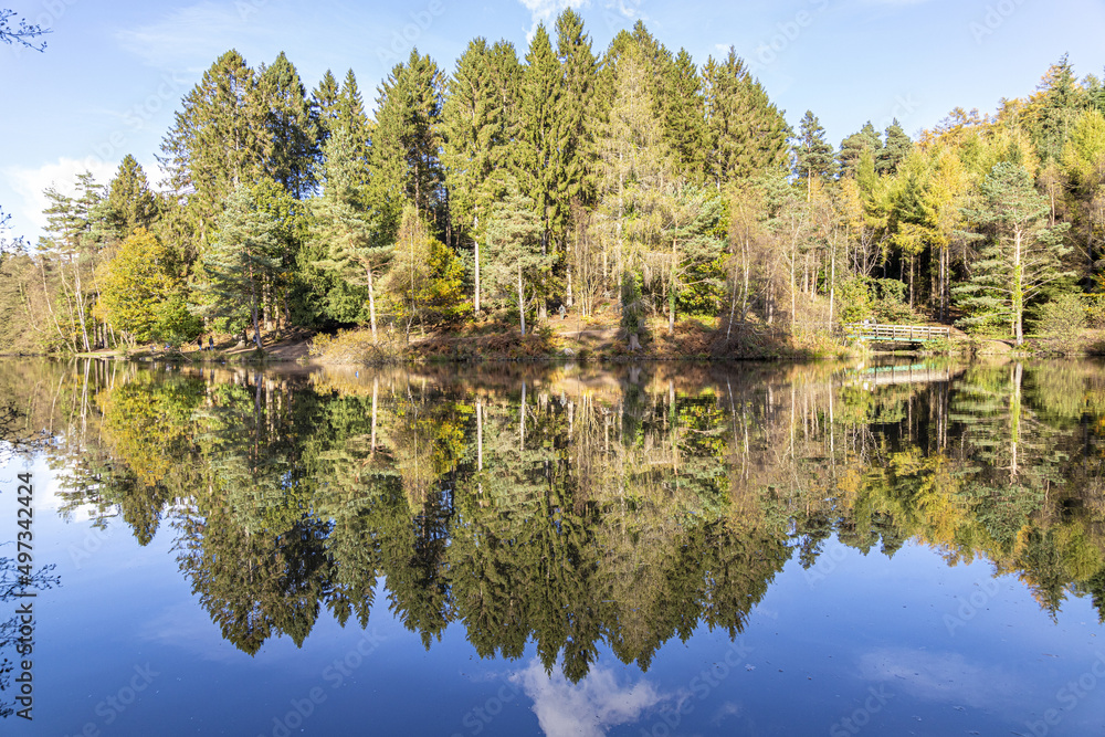 Fototapeta premium Autumn colours at Mallards Pike Lake in the the Forest of Dean near Parkend, Gloucestershire, England UK
