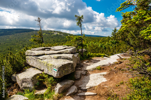 Fototapeta Naklejka Na Ścianę i Meble -  mountain path in the Karkonosze Mountains