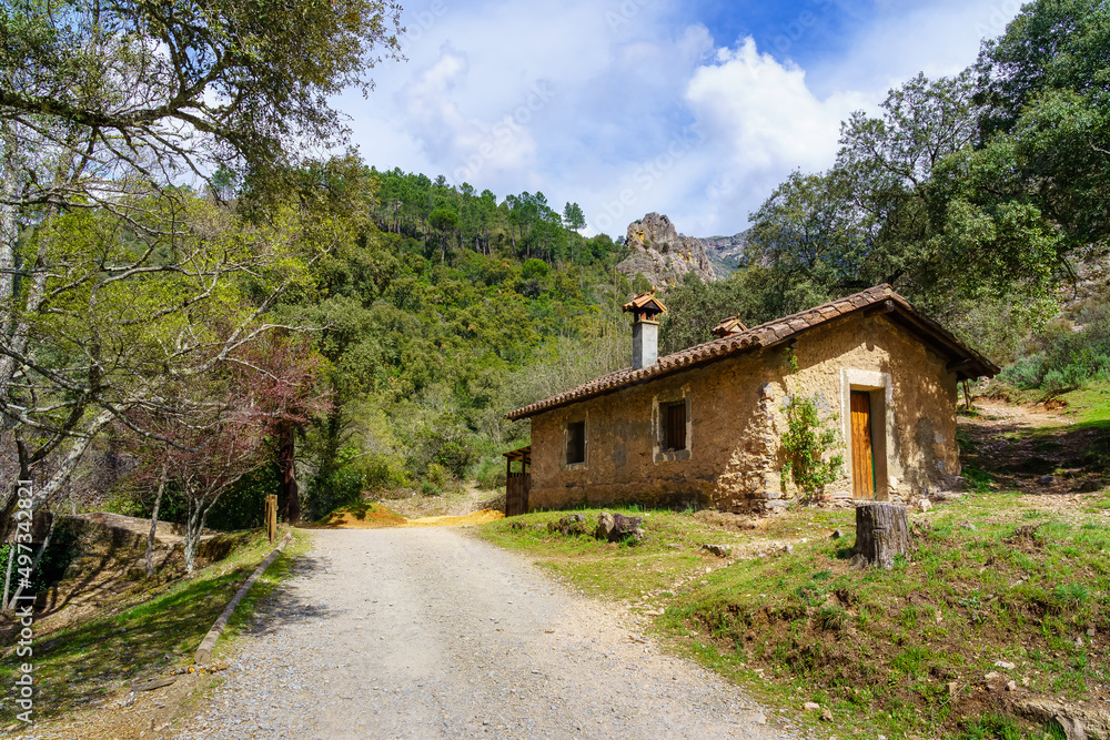 Small stone house on the mountain inside the forest with lush vegetation. Small stone house on the mountain inside the forest with lush vegetation.