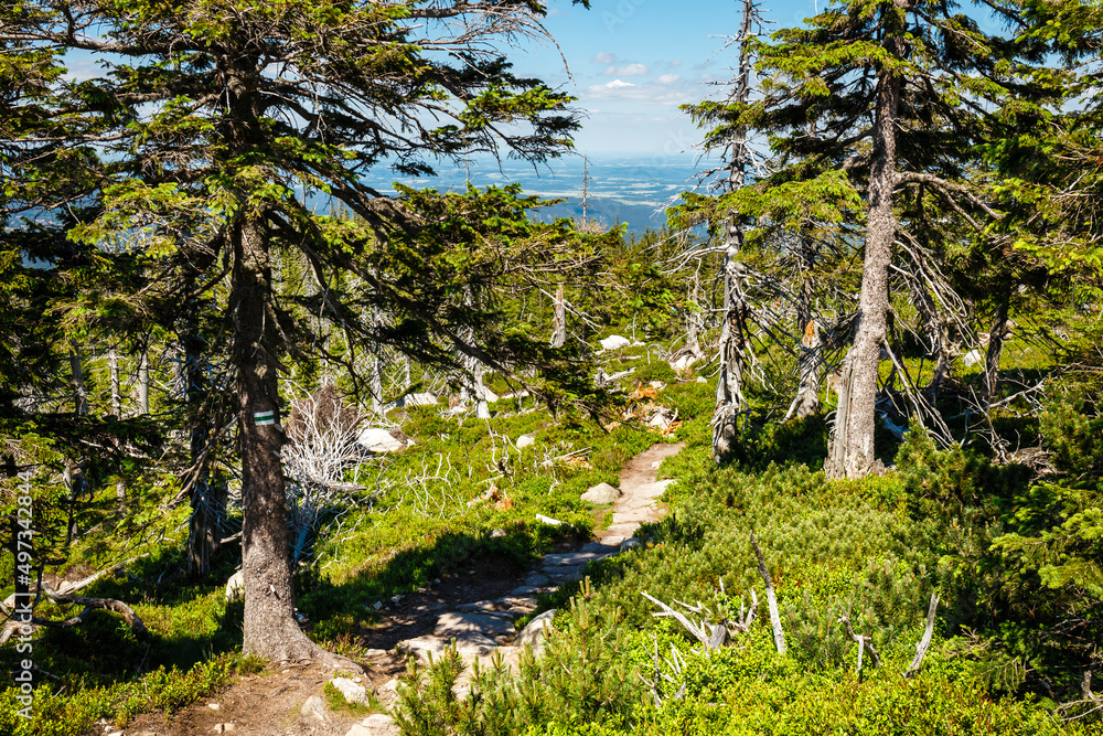 Karkonosze National Park in beautiful green colors Karkonosze National Park in beautiful green colors