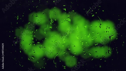 夜の街の中で雨の水滴が流れるガラスとボケたライト