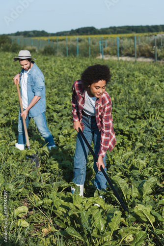 full length view of young interracial farmers cultivating plants in field.