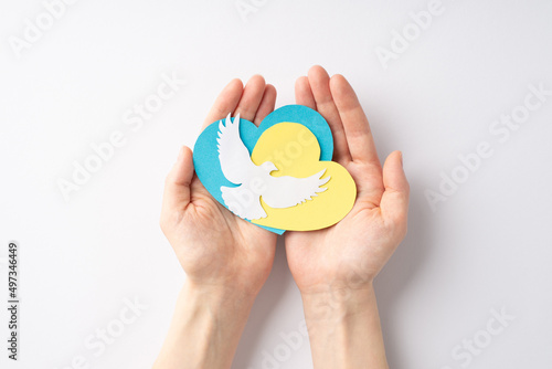 Stop the war in Ukraine concept. Top overhead view photo of girl's hands holding yellow blue hearts and white pigeon silhouette on palms on isolated white background