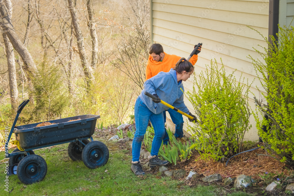 Young man and woman landscapers cleaning and mulching flower bed in midwestern suburb Young man and woman landscapers cleaning and mulching flower bed in midwestern suburb