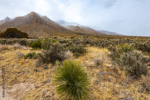 Snow on the Peaks in Guadalupe Mountain National Park