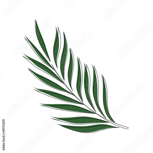 Palm leaf line art. Contour drawing. Minimalism art. Modern one-line art.