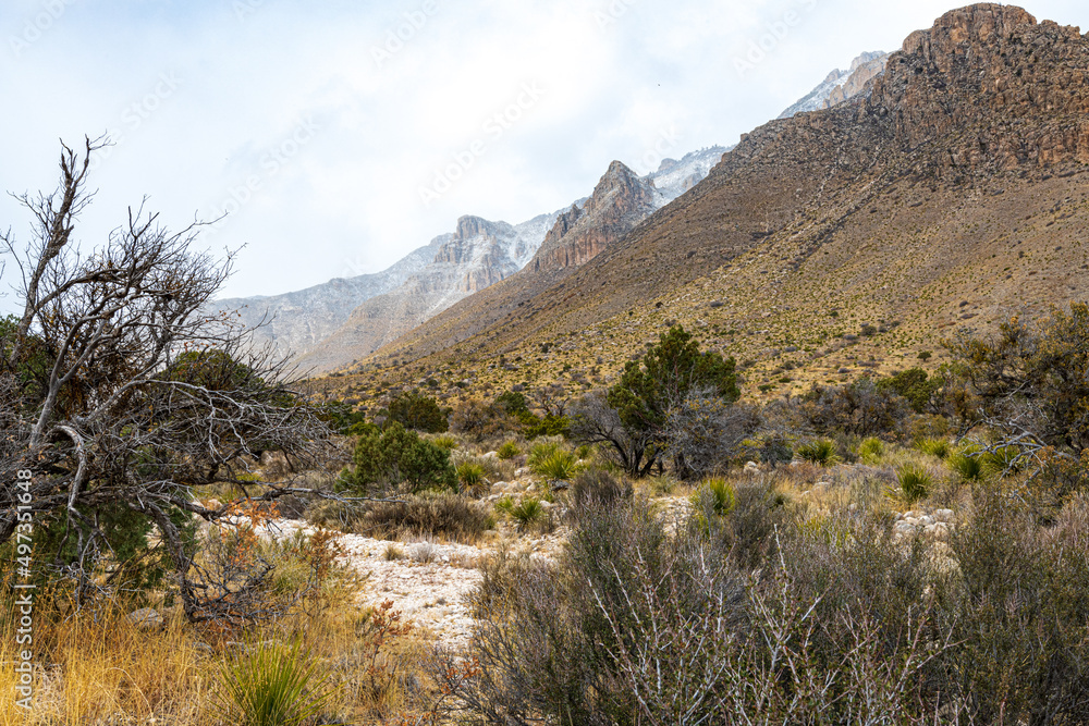 Snow on the Peaks in Guadalupe Mountain National Park