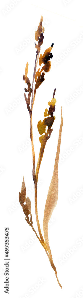 Fototapeta premium dry autumn grass brown wild on white snow in winter