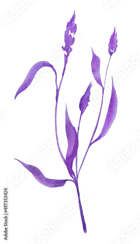 Spring floral tropical background. Stylized photo shaded in bright light violet color of growing Anthurium leaves isolated on white, soft focus. Color of 2022 year, very peri